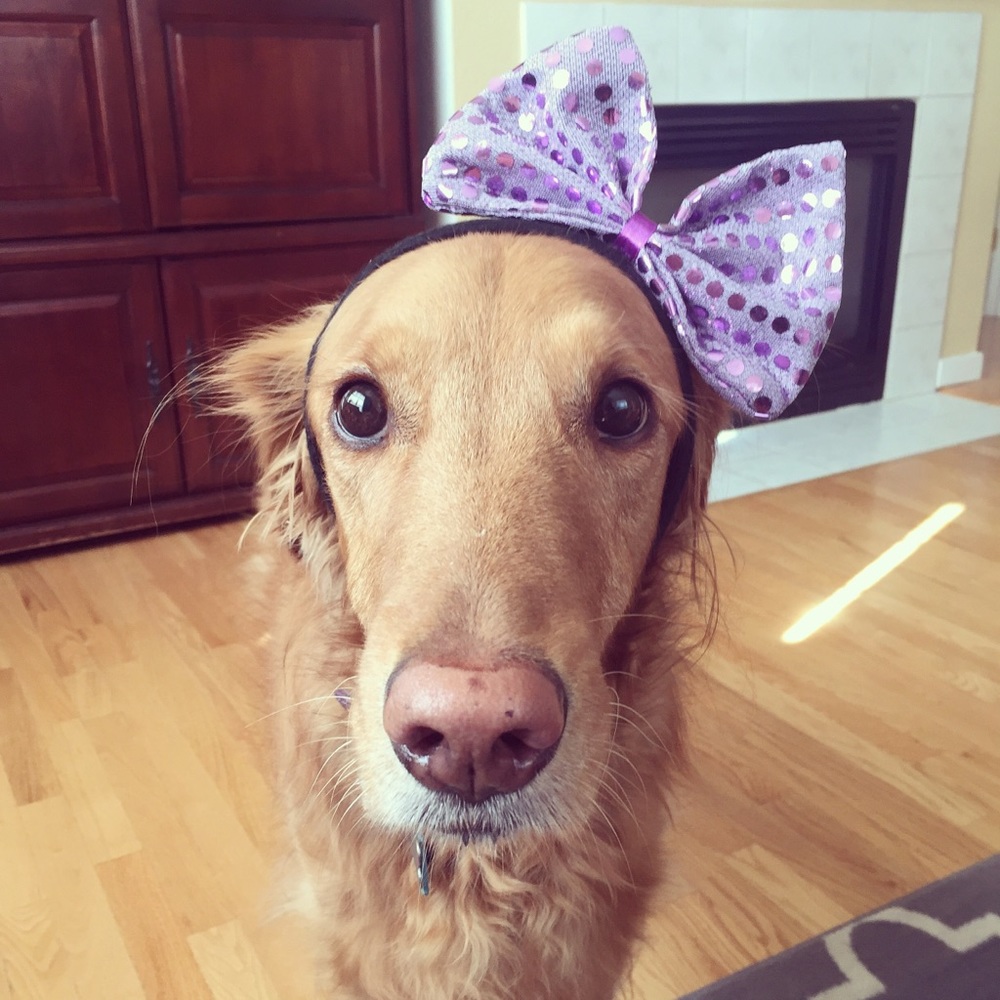 Meet your Posher, GoldenGalaxy51